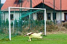 DSC03096