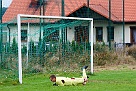 DSC03097